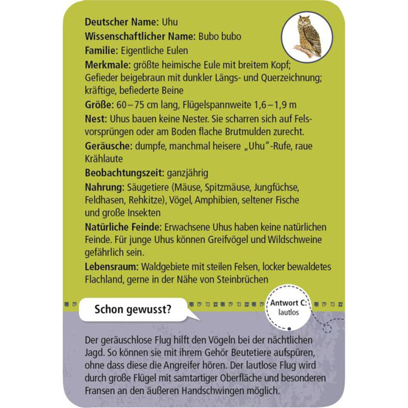 Infokarte über den Uhu mit Steckbrief (Größe, Merkmale, Nahrung, Lebensraum).