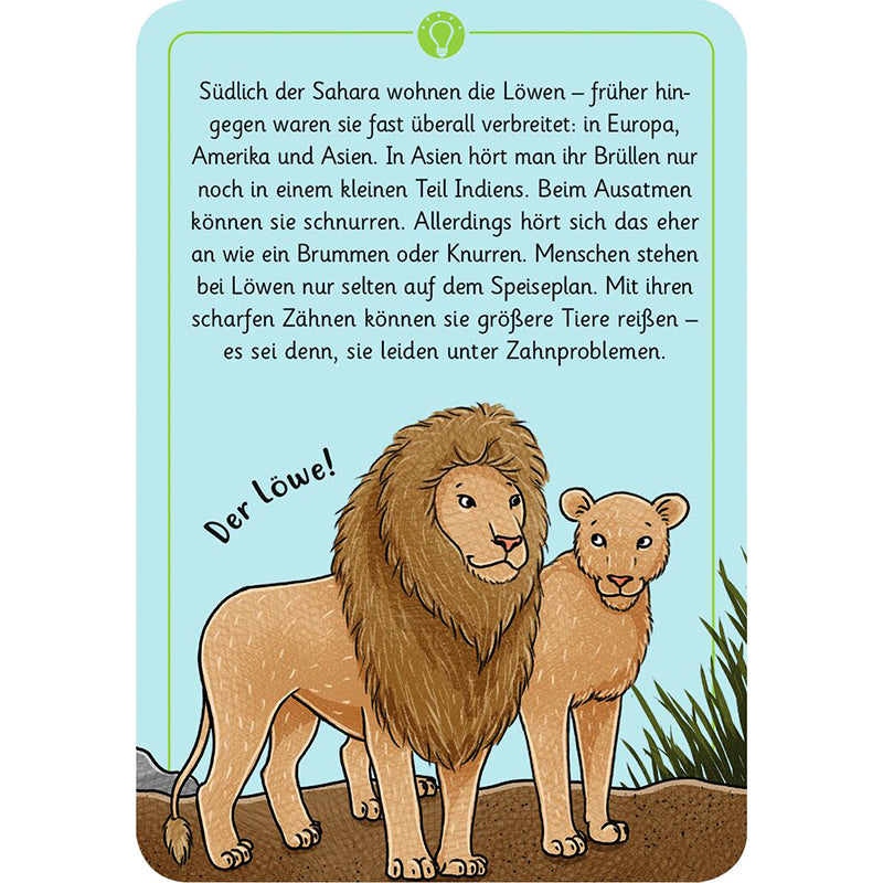 Lösungskarte mit Illustration von Löwe und Löwin, Text über Lebensraum, Verhalten und Eigenschaften der Löwen.