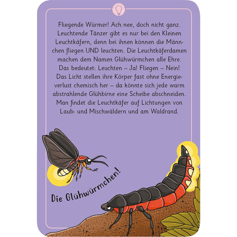 Spielkarte aus dem Tierrätsel-Set mit Illustration von Leuchtkäfern und Glühwürmchen auf violettem Hintergrund, Text über ihre Eigenschaften und Lebensweise.
