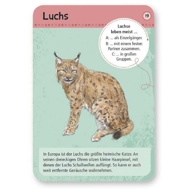 Kartenauswahl Luchs aus Kartenset zeigt Vorderseite der Luchs-Karte mit großem Bild und erster Info