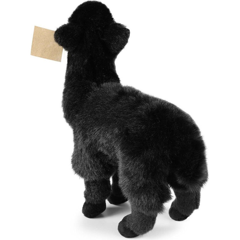 Schwarzes Plüsch-Alpaka von hinten gesehen mit weichem Fell und kleinem braunen Anhänger am Ohr.