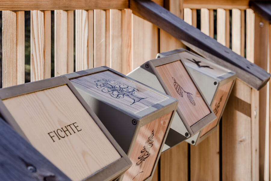 Bäume lernen - Waldpark Hochreiter