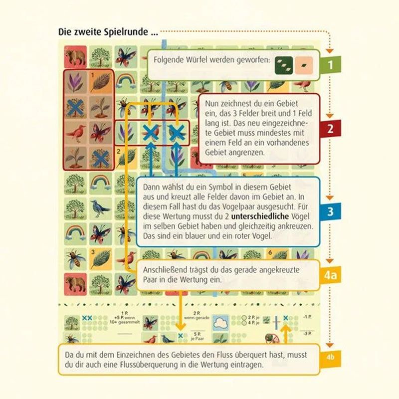 Anleitungsgrafik zur zweiten Spielrunde von Blätterrauschen mit eingezeichnetem Spielfeld und farbigen Erklärungspfeilen.