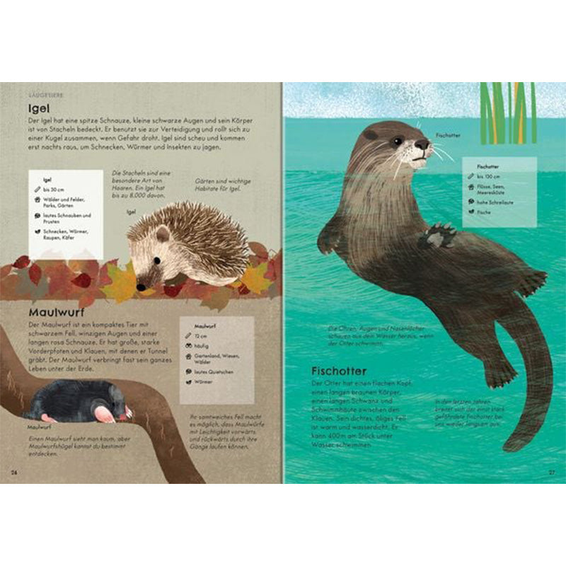 Innenseite – Tiere. Doppelseite mit Infos über Igel, Maulwurf und Fischotter, kindgerechte Illustrationen und Steckbriefe.