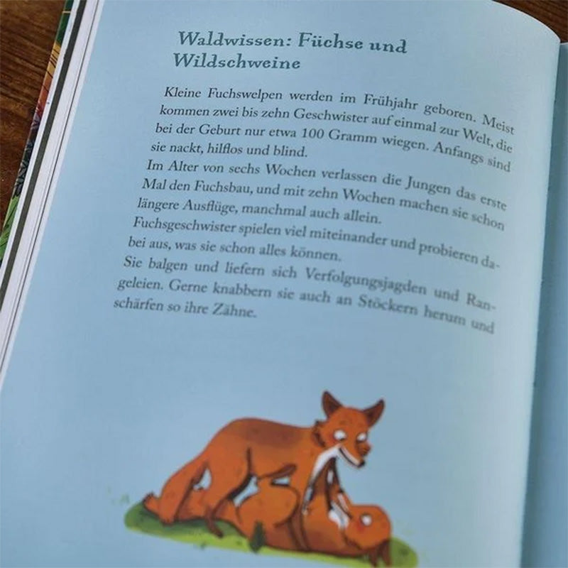 Seite eines Kinderbuchs mit Text über Füchse und Wildschweine, darunter eine Illustration zweier spielender Füchse.