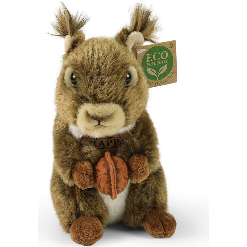 Vorderansicht (Eichhörnchen schaut nach vorne, hält Nuss mit beiden Pfoten).