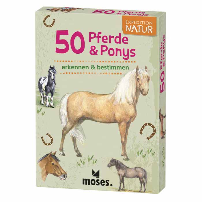 Entdeckerkarten Verpackung für Kinder zum Thema Pferde und Ponys
