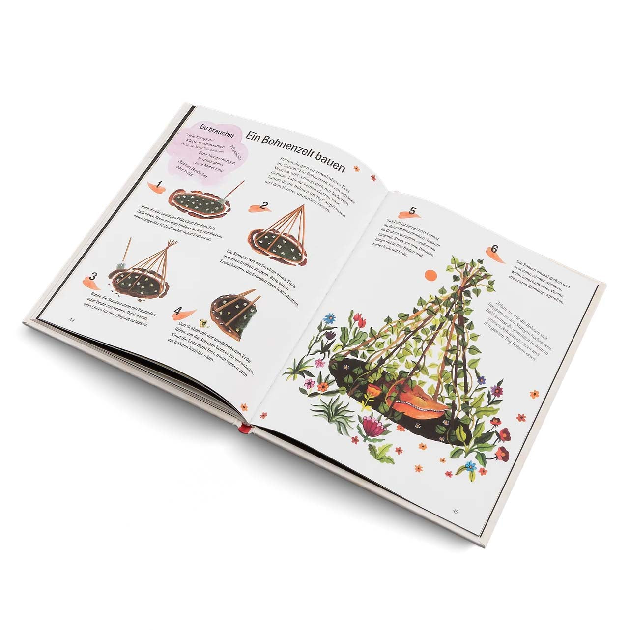 Innenseite aus dem Buch "Grüner wird&