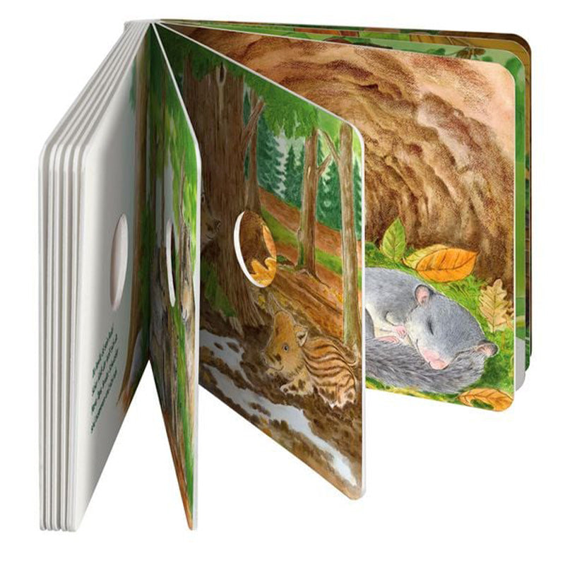 Geöffnetes Pappbuch mit mehreren Seiten, die Gucklöcher zeigen Waldszenen und Tiere wie ein schlafendes Tier und ein Wildschwein