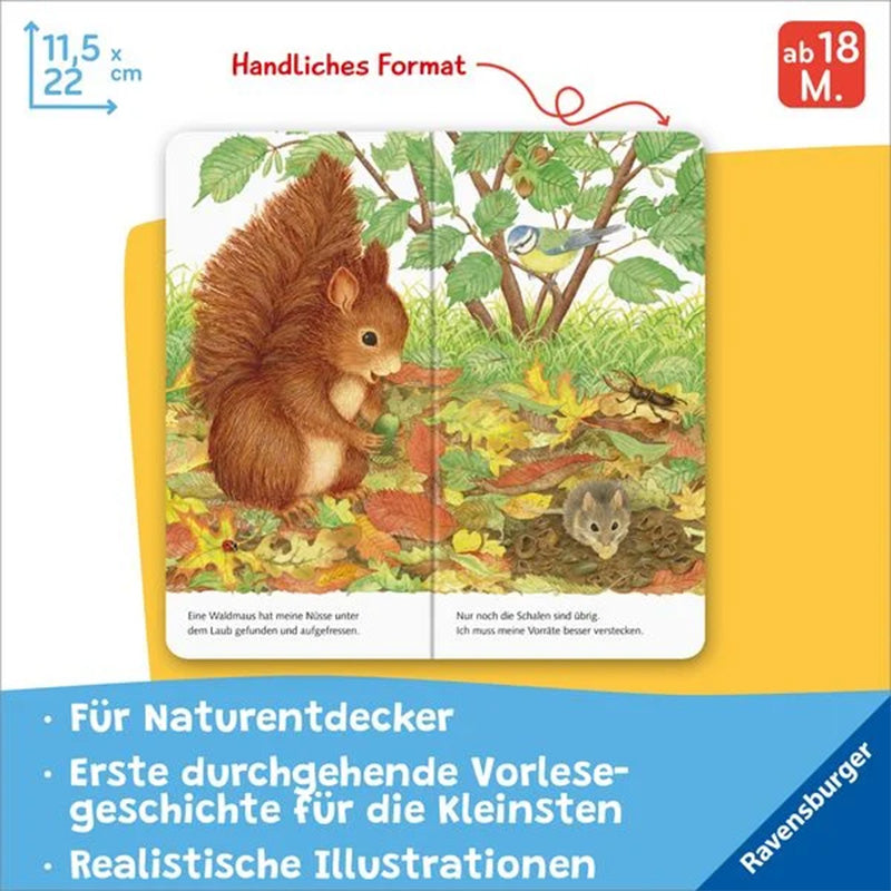 Illustration mit Eichhörnchen, Waldmaus, buntem Herbstlaub und Vogel auf Ast, Text im Buch, Hinweis auf handliches Format, ab 18 Monaten, Ravensburger, Infos für Naturentdecker, erste Vorlesegeschichte, realistische Illustrationen