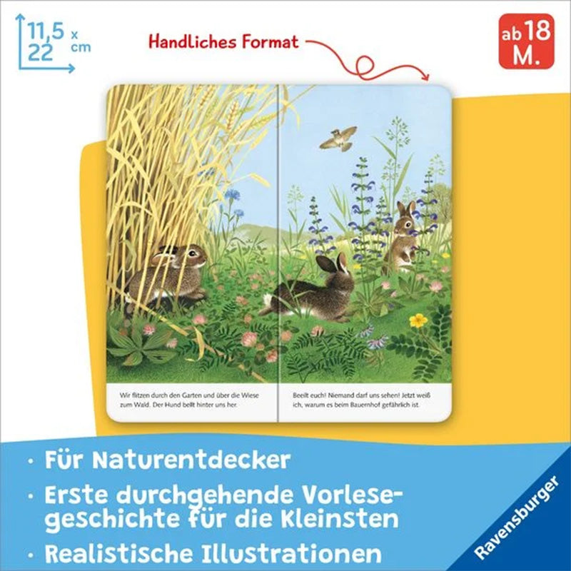 Illustration von Kaninchen im hohen Gras und auf einer Wiese mit Blumen, ein Vogel fliegt am Himmel. Text unten: „Wir flitzen durch den Garten und über die Wiese zum Wald. Der Hund bellt hinter uns her.“ und „Beeilt euch! Niemand darf uns sehen! Jetzt weiß ich, warum es beim Bauernhof gefährlich ist.“ Oben „Handliches Format 11,5 x 22 cm“, „ab 18 M.“ Unten blaue Fläche mit Text: „Für Naturentdecker – Erste durchgehende Vorlesegeschichte für die kleinsten – Realistische Illustrationen“, rechts Ravensburger-L