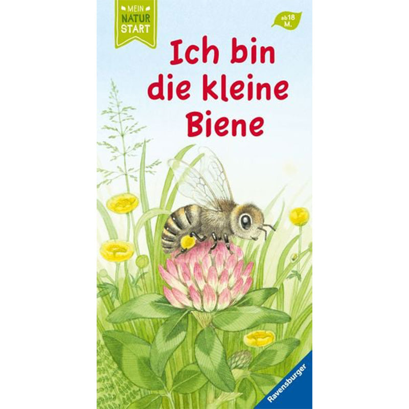 Buchcover mit der Aufschrift „Ich bin die kleine Biene“. Illustration einer Biene auf einer rosa Klee-Blüte, umgeben von gelben Blumen und grünen Gräsern. Oben links grünes Banner „Mein Natur Start“, oben rechts gelbes Symbol „ab 18 M.“, unten rechts Ravensburger-Logo.