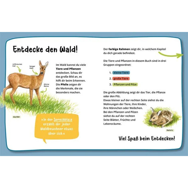 Ein aufgeschlagenes Kinderbuch mit Illustrationen von Waldtieren, links ein Reh, rechts ein Rehkitz und Text über Tiere und Pflanzen im Wald.