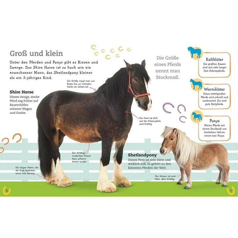 Buchseite: Ein großes schwarzes Shire Horse steht neben einem kleinen Shetlandpony, mit erklärenden Texten zu Größe und Rassen.