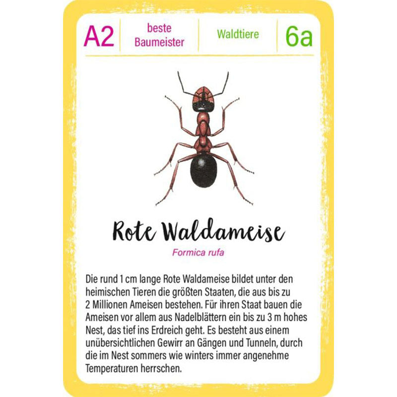 Spielkarte mit Illustration einer Roten Waldameise und Text über ihre Staatenbildung.