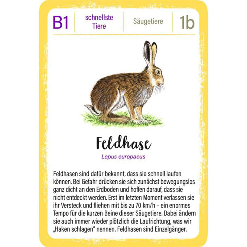 Spielkarte mit Illustration eines Feldhasen und Text über seine Schnelligkeit