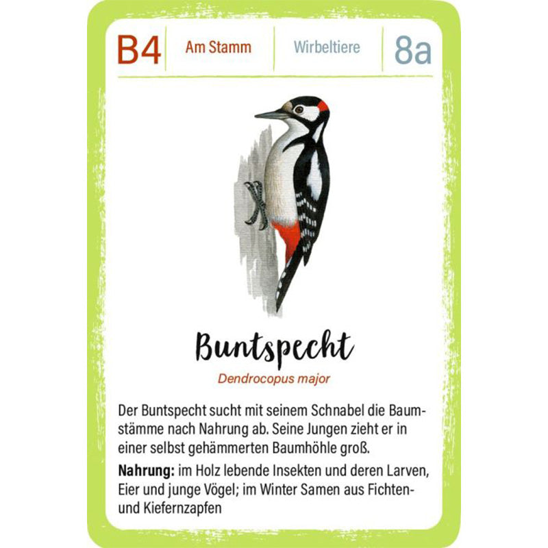 Spielkarte „Buntspecht“ mit Illustration, wissenschaftlichem Namen und Infos zu Lebensweise und Nahrung.