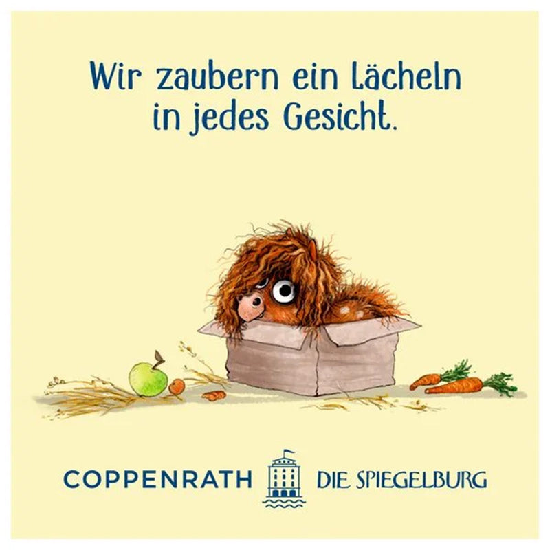 Ein zotteliges Pony sitzt in einem Karton, umgeben von Heu, einem Apfel und Karotten. Darüber steht der Text: Wir zaubern ein Lächeln in jedes Gesicht. Unten ist das Logo von Coppenrath Die Spiegelburg abgebildet.