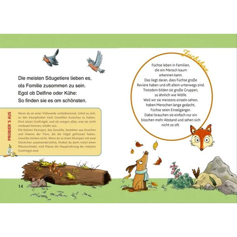 Innenseite des Kinderbuchs Tierkinder im Wald von Peter Wohlleben. Links Text über das Familienleben von Säugetieren mit Illustration von Vögeln, Baumstumpf und Hund. Rechts Infokasten über Füchse, mit Illustration eines Fuchskopfs und weiterer Tiere im Wald. Bunt und kindgerecht gestaltet.