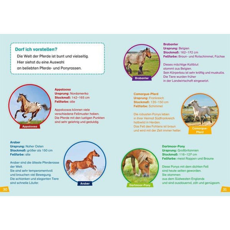 Buchseite: Fotos und Beschreibungen verschiedener Pferderassen, darunter Appaloosa, Brabanter, Camargue-Pferd, Araber und Dartmoor-Pony.