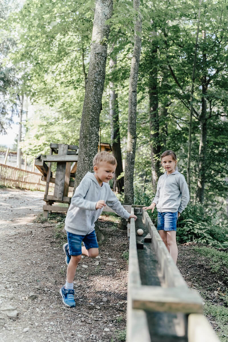 Waldkugelbahn beobachten Waldpark Hochreiter