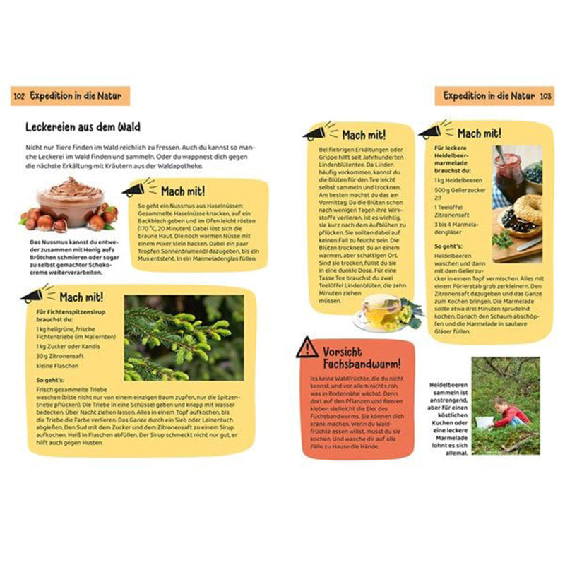 Doppelseite aus einem Naturbuch mit Rezeptideen und Mitmach-Tipps: links Nüsse, Tannenspitzen und Rezepte, rechts Heilkräutertee, Heidelbeer-Rezept und Warnhinweis vor Fuchsbandwurm, Fotos und Illustrationen von Pflanzen und Kindern im Wald.