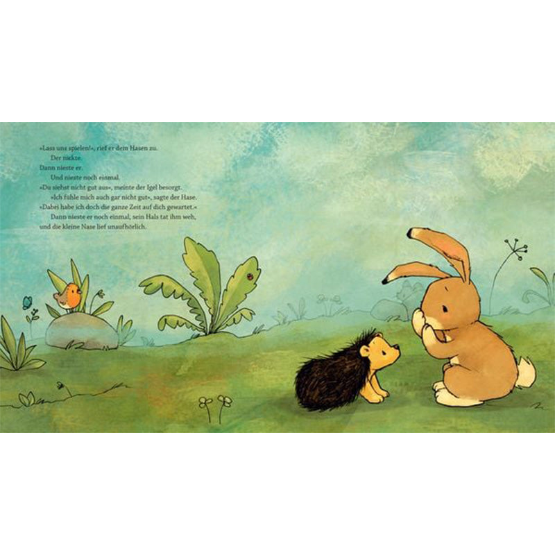 Wir zwei sind füreinander da – Pappbilderbuch Innenseite mit Hase und Igel im Gespräch auf einer Wiese