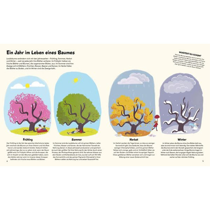 Buchseite – vier Jahreszeiten im Leben eines Baumes mit passenden Illustrationen.