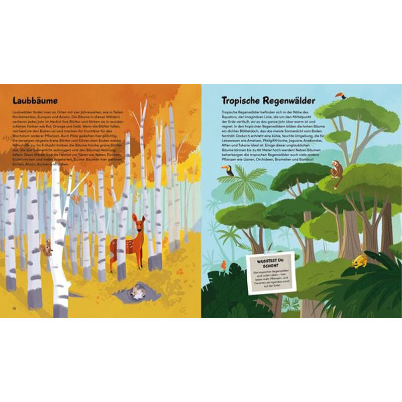 Buchseite – Vergleich von Laubbäumen und tropischen Regenwäldern mit Tieren.