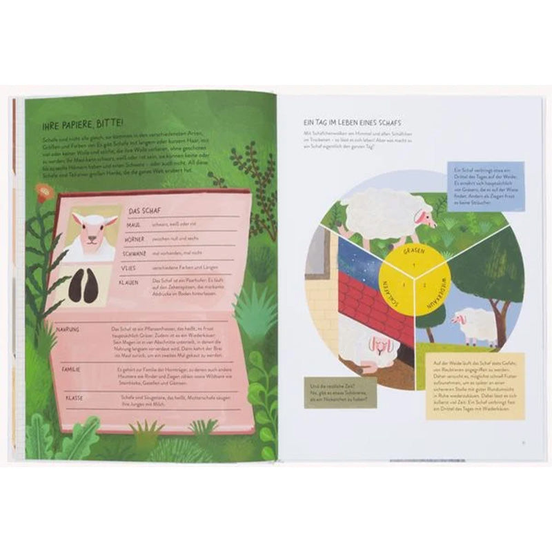 Buchseite – Steckbrief eines Schafs links, rechts Diagramm „Ein Tag im Leben eines Schafs“.