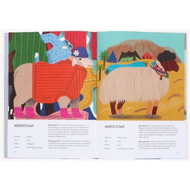 Buchseite – Illustration Merinoschaf und Awassi-Schaf mit Beschreibung der Rassen.