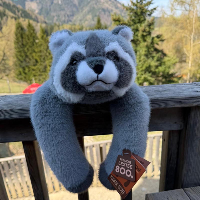 Gewichtskuscheltier Waschbär