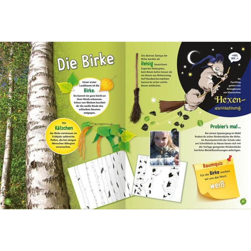 Buchseite „Die Birke“ mit Fotos, Illustrationen und Bastelideen rund um die Birke.
