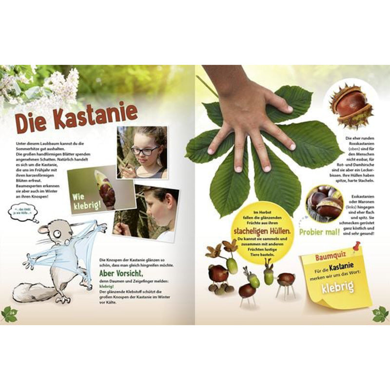 Buchseite „Die Kastanie“ mit Fotos, Kastanienfrüchten und Baumquiz.