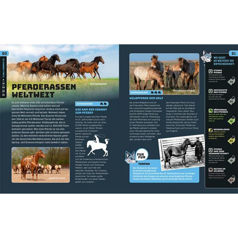 Doppelseite im Buch mit Fotos verschiedener Pferderassen weltweit und Wildpferden.