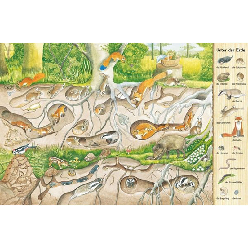Buchinnenseite mit Wimmelbild „Unter der Erde“ zeigt Tierhöhlen und Gänge unter der Erde mit Füchsen, Dachsen, Kaninchen und Mäusen.