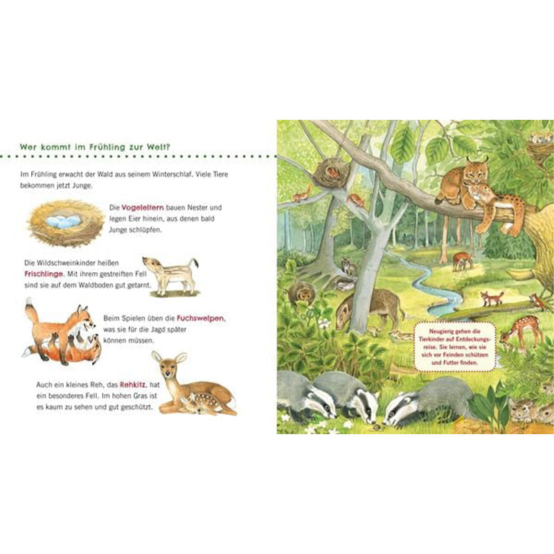 Buchseite mit Tieren im Frühling im Wald und kurzen Erklärtexten.