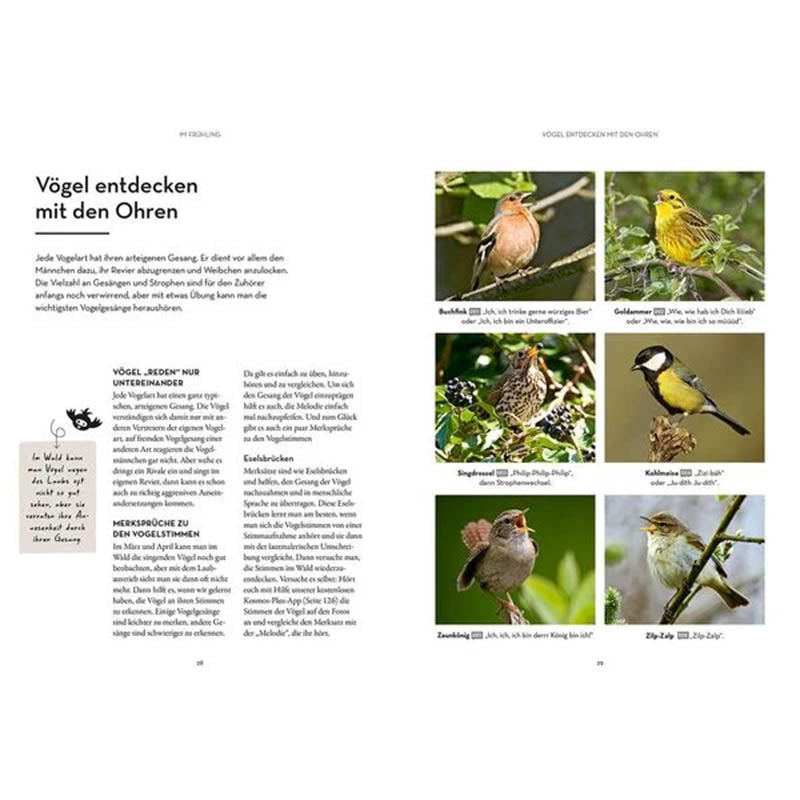 Waldglück