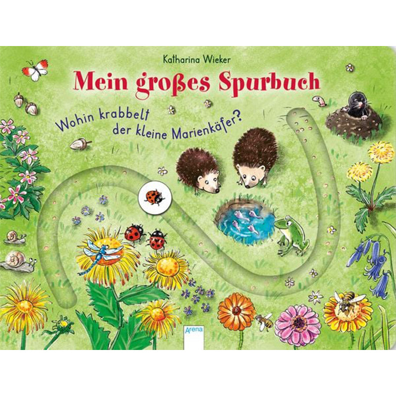 Wohin krabbelt der kleine Marienkäfer?