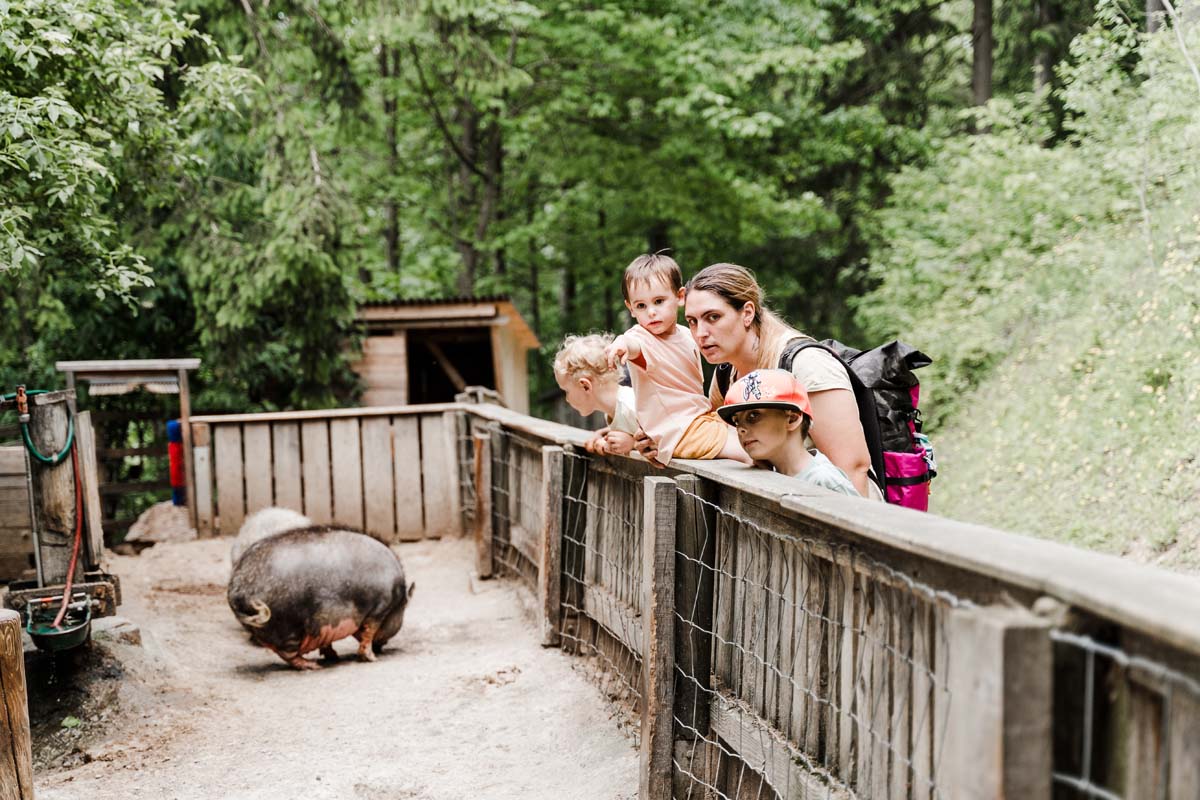 Familienausflug in der Steiermark – unsere liebsten Ausflugsziele rund um den Waldpark Hochreiter