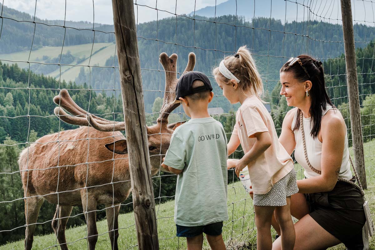 Handy weg im Wald: Die schönsten Momente passieren offline
