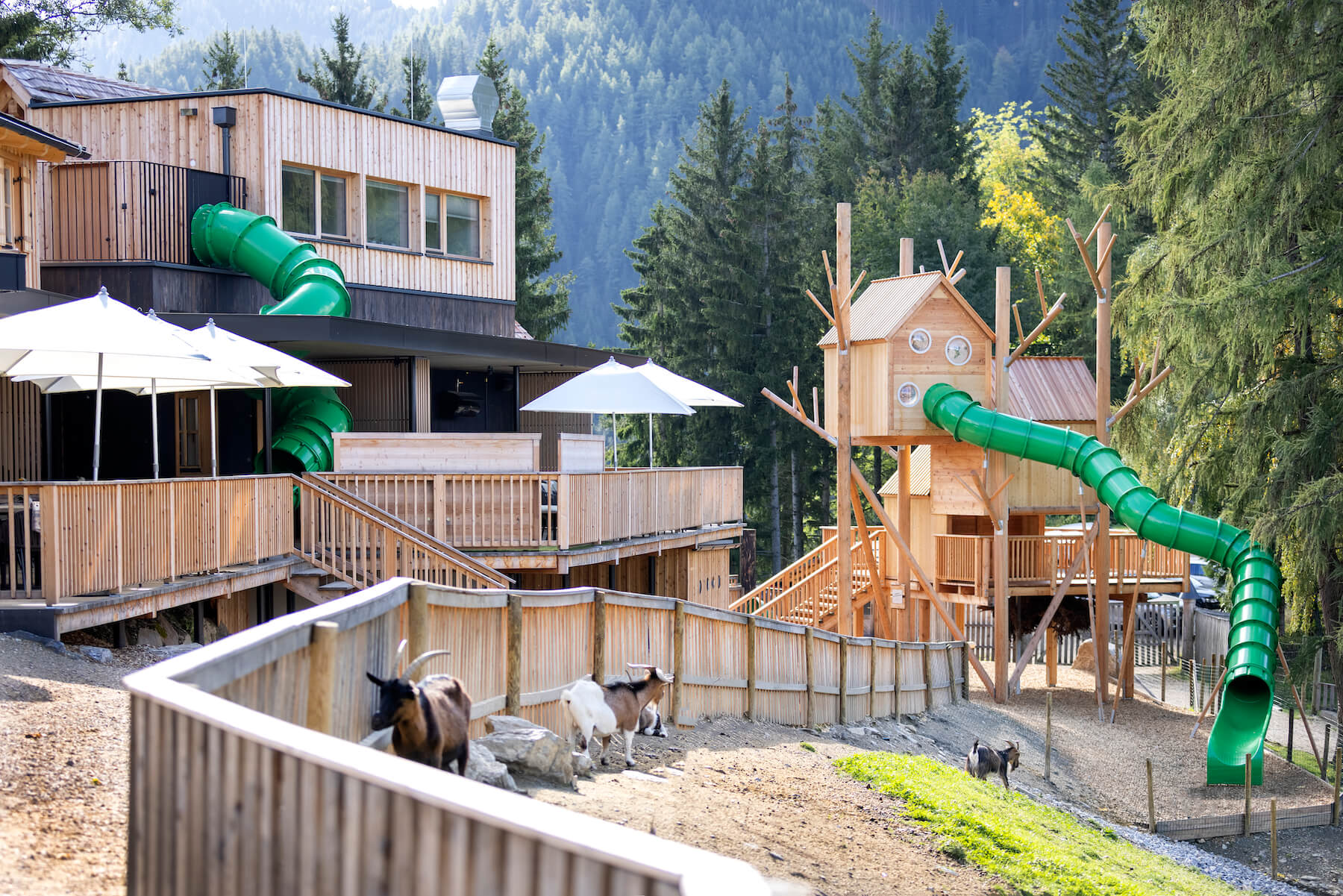 Familienausflug in der Steiermark – unsere liebsten Ausflugsziele rund um den Waldpark Hochreiter