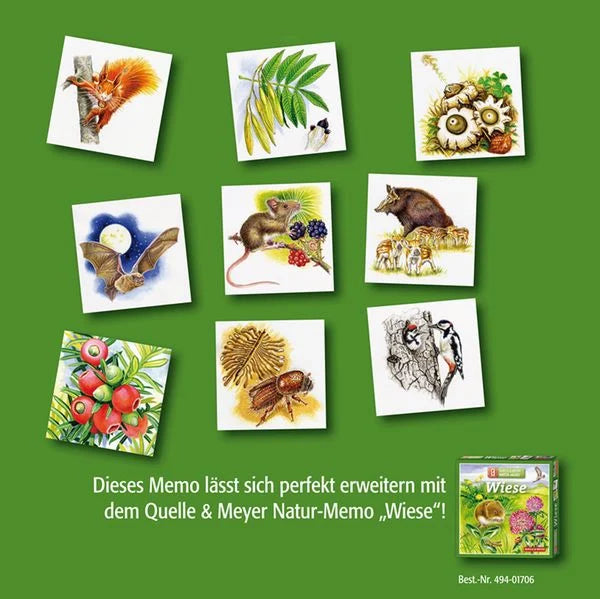 Verschiedene Memory-Karten mit Waldmotiven, darunter Eichhörnchen, Blätter, Eulen, Fledermaus, Maus mit Brombeeren, Wildschwein, Äpfel, Käfer und Buntspecht.