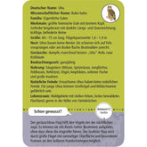 Infokarte über den Uhu mit Steckbrief (Größe, Merkmale, Nahrung, Lebensraum).