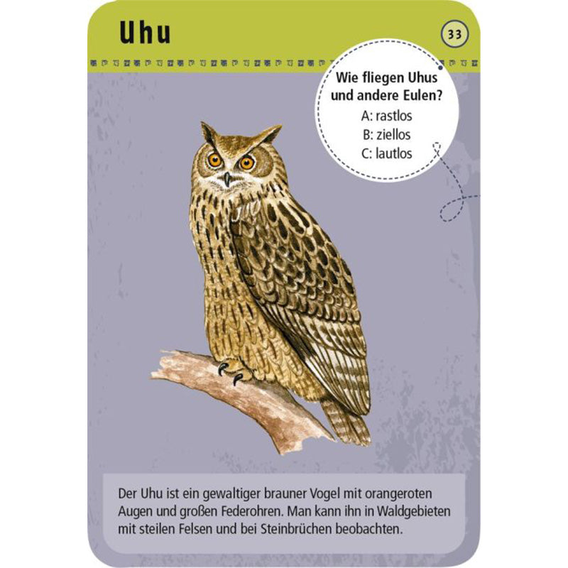 Illustrierte Quizkarte mit Uhu auf einem Ast, Quizfrage „Wie fliegen Uhus und andere Eulen?“.