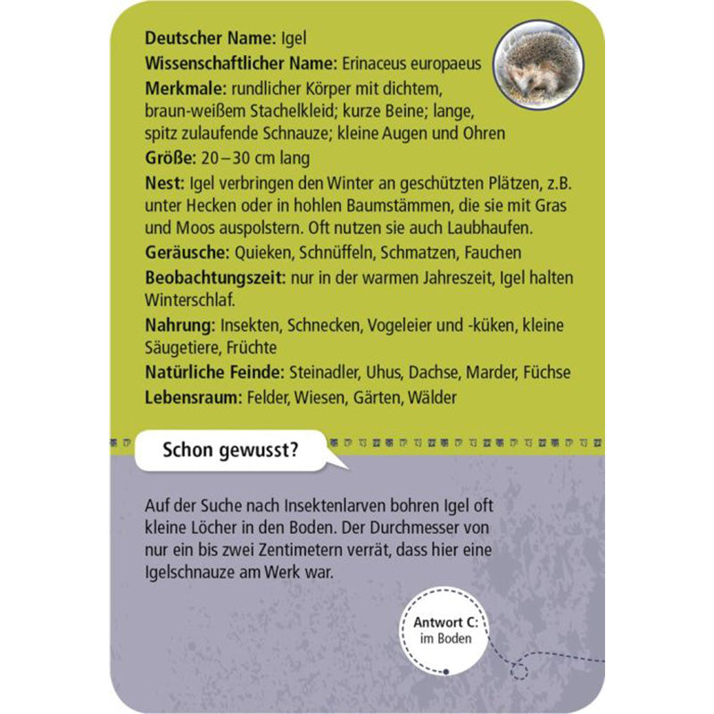 Infokarte über den Igel mit Steckbrief (Größe, Merkmale, Nahrung, Lebensraum).