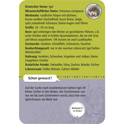 Infokarte über den Igel mit Steckbrief (Größe, Merkmale, Nahrung, Lebensraum).