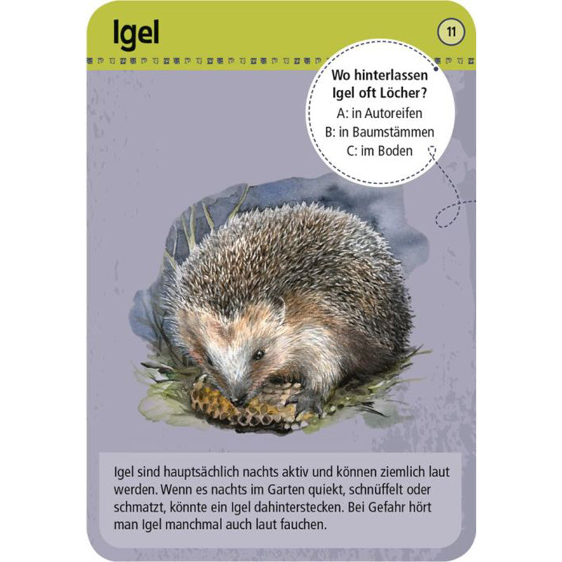 Illustrierte Quizkarte mit Igel, Quizfrage „Wo hinterlassen Igel oft Löcher?“.