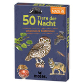 Verpackung der Box „50 Tiere der Nacht“ mit illustrierten Tieren wie Eule, Wolf, Fledermaus und Dachs.