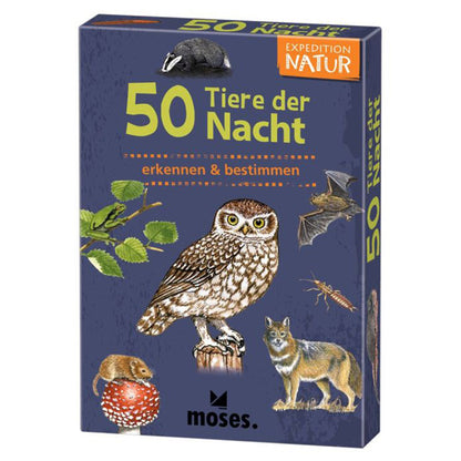 Verpackung der Box „50 Tiere der Nacht“ mit illustrierten Tieren wie Eule, Wolf, Fledermaus und Dachs.